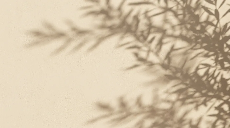 Soft morning light falling across a pale stone wall